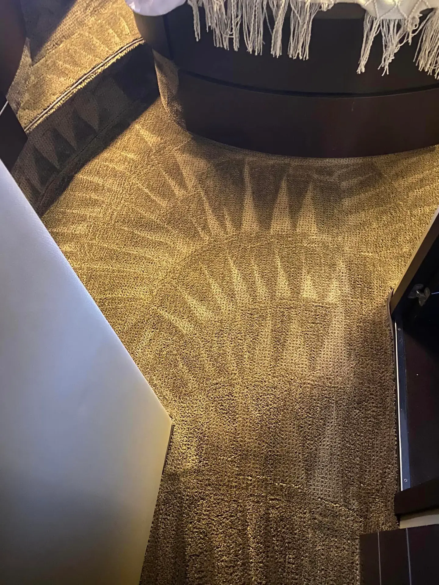 Deep-cleaned residential bedroom carpet.